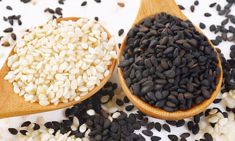 Sesame seed