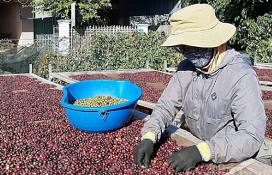 Tư vấn xuất khẩu nông sản, thực phẩm sang thị trường Nhật Bản