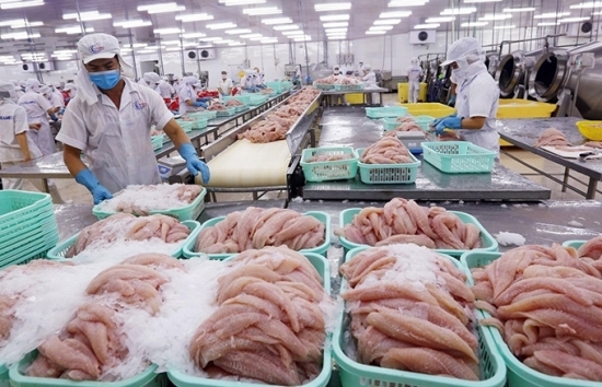 Cảnh báo lừa đảo trong xuất khẩu sang thị trường Nigeria