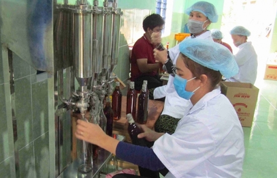 Bình Định: 100% cơ sở có nhu cầu được hỗ trợ phát triển sản phẩm công nghiệp nông thôn tiêu biểu