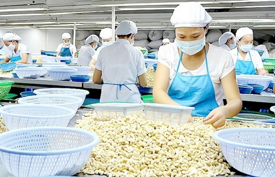 Bình Phước: Tiếp tục triển khai hiệu quả đề án khuyến công quốc gia điểm