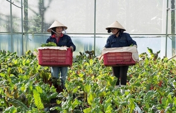 MM Mega Market Việt Nam: Mục tiêu "khách hàng là trên hết"