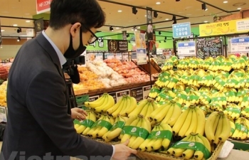 Fruit, vegetable export picks up despite COVID-19