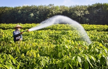 Bước phát triển đáng ghi nhận
