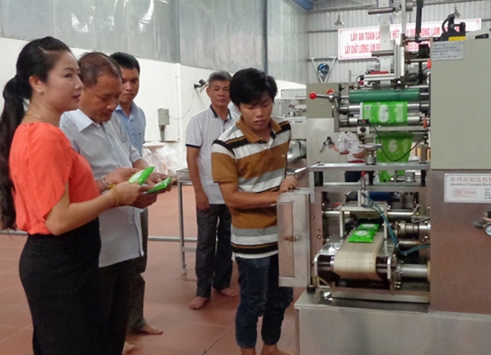 Khuyến công Hải Phòng: Hỗ trợ thiết thực cơ sở công nghiệp nông thôn