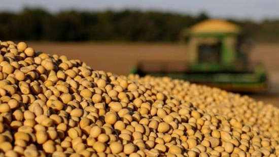 Thị trường hàng hóa ngày 27/7: Nông sản nối dài đà tăng giá