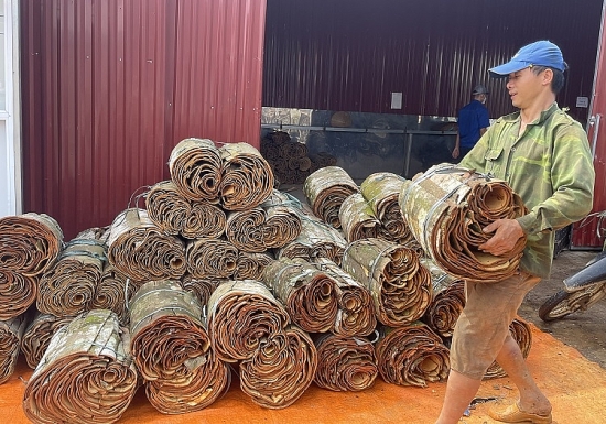 Sức bật trong xây dựng nông thôn mới ở Đào Thịnh