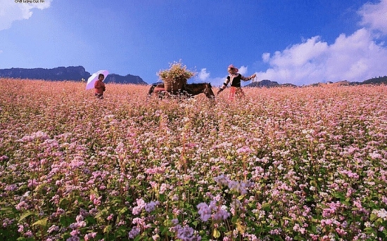 Hà Giang – tất cả các điểm du lịch mở cửa đón du khách trở lại
