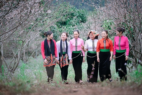 Sắc xuân Mộc Châu