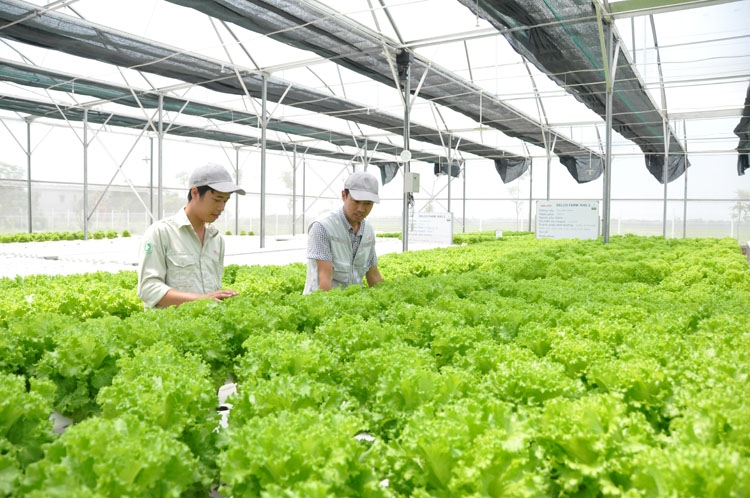 Rộng mở cơ hội giao thương, thúc đẩy chuyển đổi số trong sản xuất