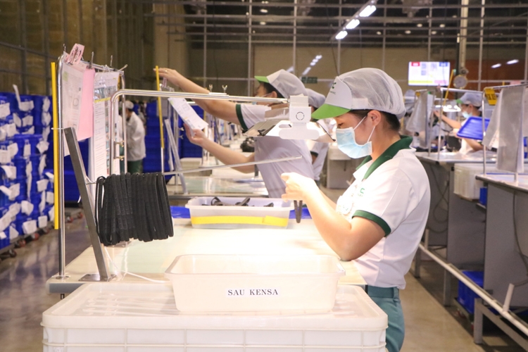 Thanh tra bảo hiểm xã hội: Ngăn chặn kịp thời các hành vi trục lợi