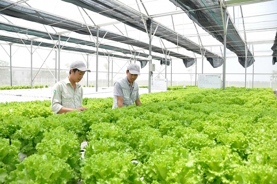 Doanh nghiệp đẩy mạnh xúc tiến hàng hóa tại sàn giao dịch công nghệ