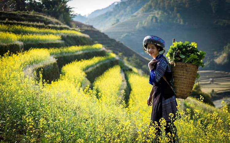 Phát triển du lịch theo hướng tăng trưởng xanh