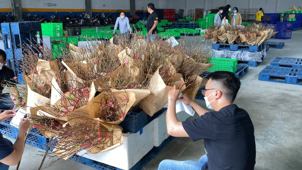 Hàng Việt ngập tràn sàn thương mại điện tử mùa Tết