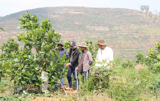 Kon Tum: Triển khai hiệu quả chính sách dân tộc