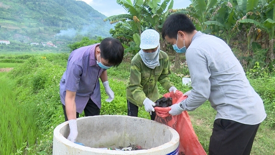 Đồng bằng sông Cửu Long - Giá thuốc bảo vệ thực vật tăng cao