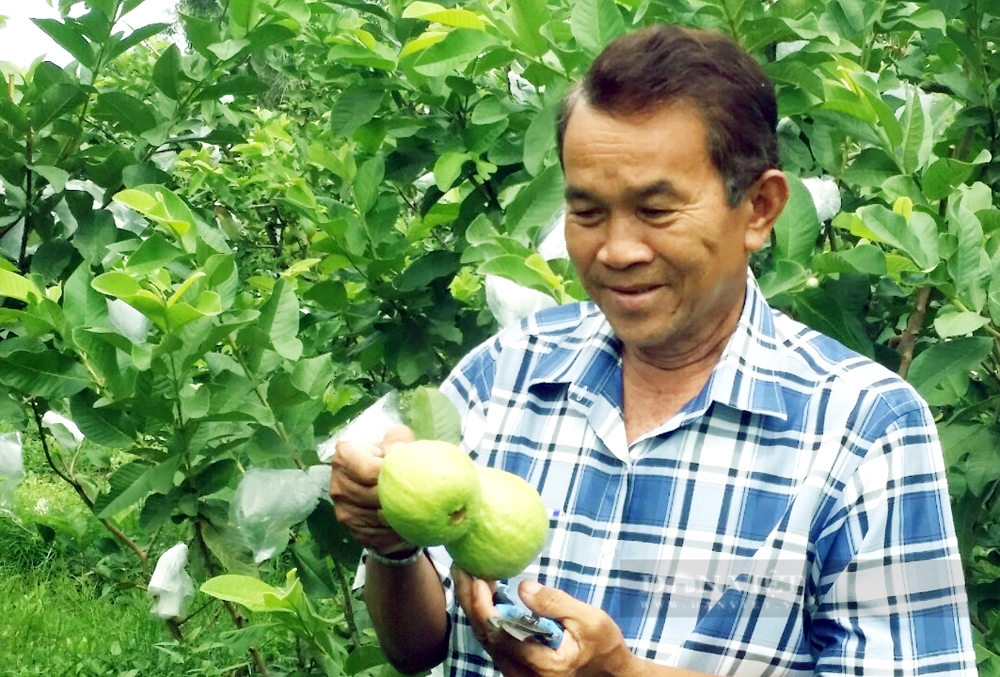 Lão nông Khmer được tôn vinh Nông dân Việt Nam xuất sắc