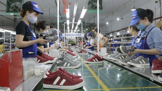 Hàng Việt tự tin ra “biển lớn”