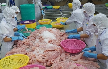 Chủ động quảng bá hình ảnh cá tra