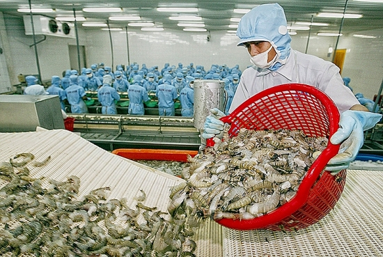 Việt Nam - Hoa Kỳ: Nỗ lực cân bằng cán cân thương mại