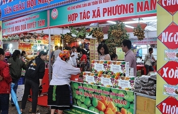 Tạo đà khai thác tiềm năng, lợi thế vùng Tây Bắc