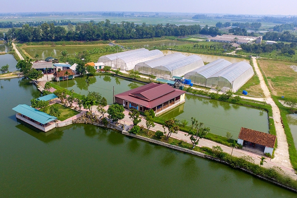 Hà Tĩnh: Tập trung vào những giải pháp trọng tâm