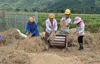 Giảm nghèo ở Việt Nam: 6 triệu người đã thoát nghèo
