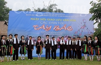 vang mai cau hat soong co