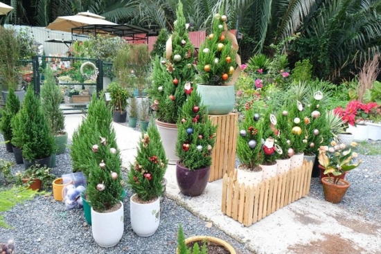 Cây thông Noel mini thu hút khách trên "chợ mạng"