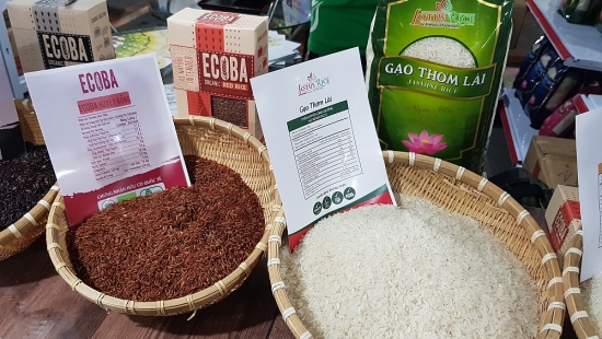 Liên kết tăng giá trị cho nông sản đồng bằng sông Cửu Long