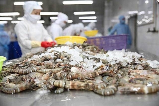 Làn sóng Covid-19 mới: Tìm cơ hội cho xuất khẩu tôm và dệt may
