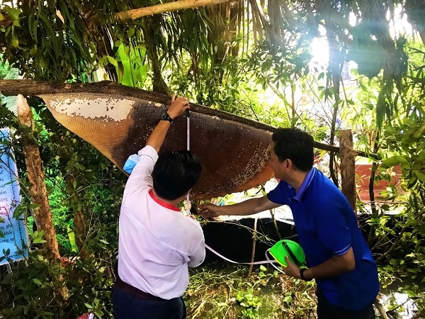 Cà Mau thu hút trên 83.000 lượt khách du lịch dịp nghỉ lễ
