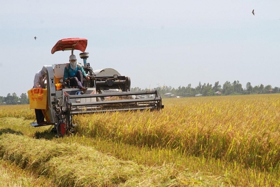 Phát triển công nghiệp cơ khí: 2 mấu chốt cần phải giải quyết