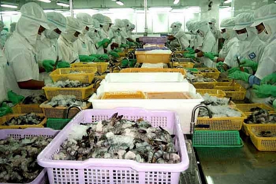 Xuất khẩu thủy sản: Không nên bỏ qua thị trường nhỏ
