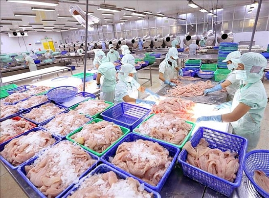 Công nghiệp và xuất khẩu tỉnh An Giang duy trì trong đại dịch