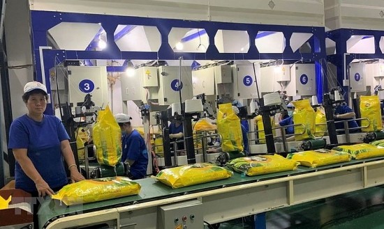Giá lúa gạo hôm nay 10/8: Giá gạo xuất khẩu giảm 5 USD/tấn