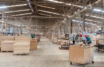 Ngành gỗ Bình Dương: Phát triển thương mại điện tử nâng cao năng lực xuất khẩu