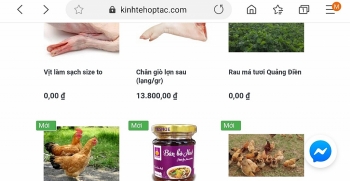 Thừa Thiên Huế: Hỗ trợ tiêu thụ sản phẩm nông nghiệp qua sàn thương mại điện tử