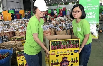 Hỗ trợ tiêu thụ nông sản cho nông dân cần phép tính dài hơi