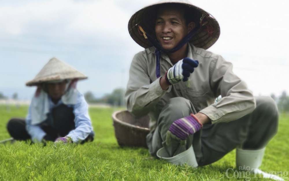 Gặp người
