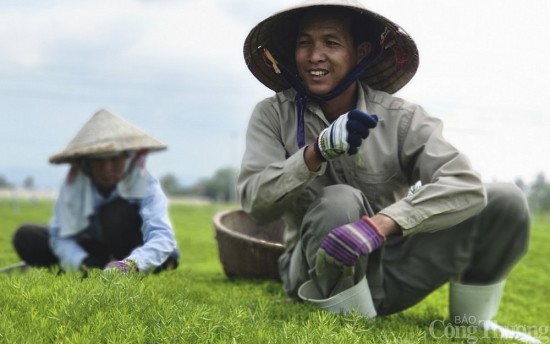 Gặp người