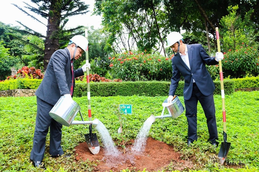 Tỉnh Gia Lai tiếp nhận hoa anh đào do Nhật Bản trao tặng