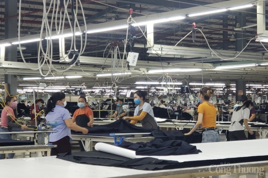 Doanh nghiệp Đà Nẵng: Bài 1: Vượt khó về đích