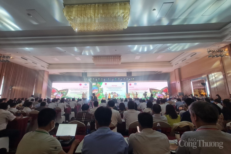 Đắk Lắk đẩy mạnh phát triển kinh tế nông nghiệp