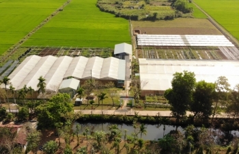 Quảng Nam: Hỗ trợ, xây dựng Hệ sinh thái khởi nghiệp đổi mới sáng tạo trên địa bàn