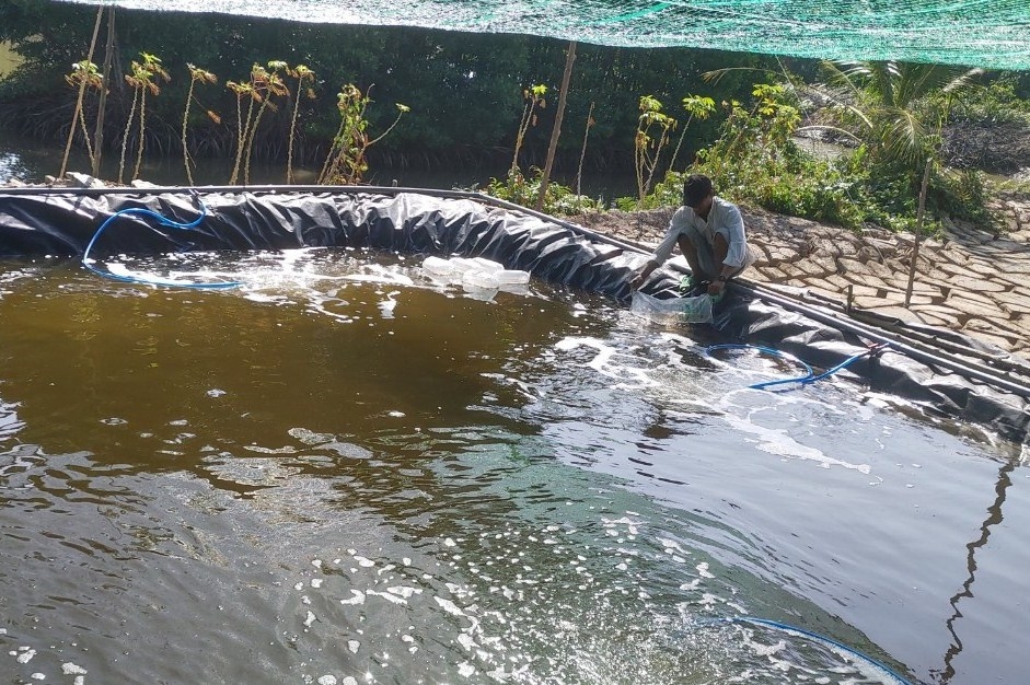 Ca Mau: Hỗ trợ nông dân phát triển kinh tế