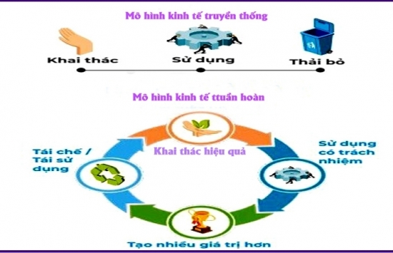 Thúc đẩy kinh tế tuần hoàn để tăng trưởng xanh và bền vững