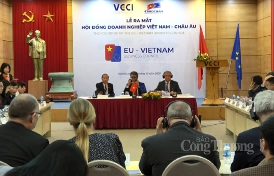 Hội đồng Doanh nghiệp Việt Nam - EU: Hỗ trợ doanh nghiệp tận dụng tối đa cơ hội EVFTA