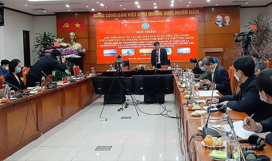 Phát triển ngành muối phải theo tín hiệu thị trường