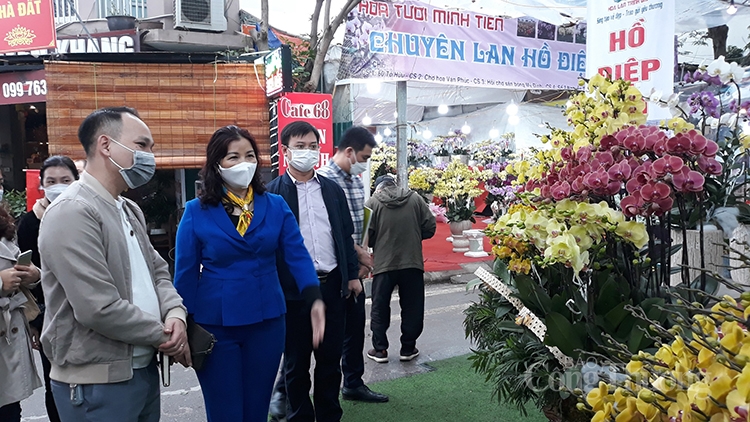 Kiểm tra hoạt động các chợ hoa Xuân trên địa bàn Hà Nội